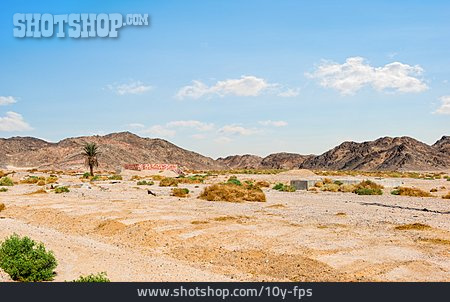 
                Wüste, ägypten                   