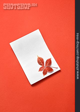 
                Papier, Herbstblatt                   