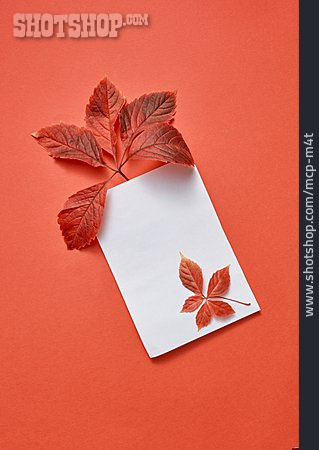 
                Papier, Herbstblatt, Herbstgrüße                   