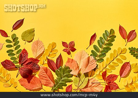 
                Herbstlaub, Herbstblatt                   