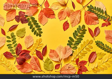 
                Herbstlaub, Verschiedene, Blattform                   