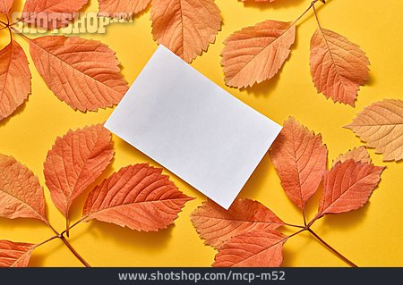 
                Textfreiraum, Herbstlaub, Papier                   