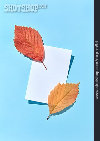 
                Paper, Autumn Leaf                   