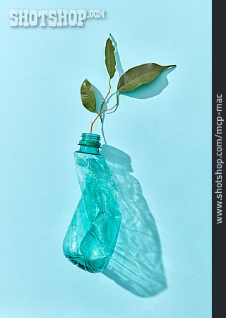 
                Blatt, Plastikflasche                   