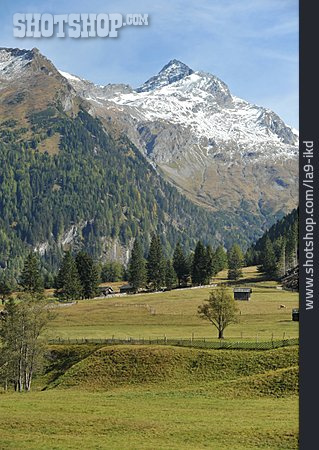 
                Nationalpark, Kärnten, Hohe Tauern, Mallnitztal                   