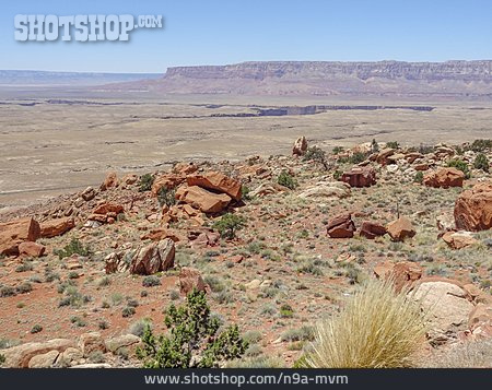 
                Wüste, Grand-canyon-nationalpark                   