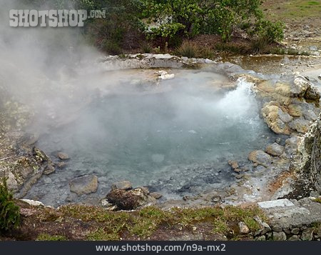 
                Hot Source, Hot Spring, Sulphur Springs                   