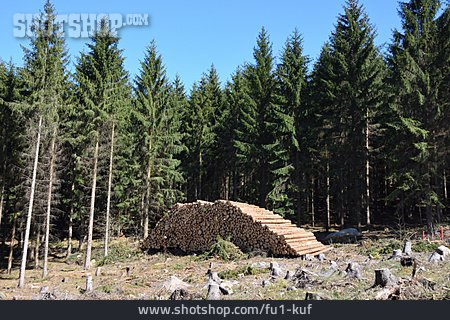 
                Wood Pile, Forestry, Timber Industry                   