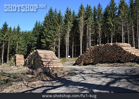
                Holzstapel, Forstwirtschaft, Holzwirtschaft                   