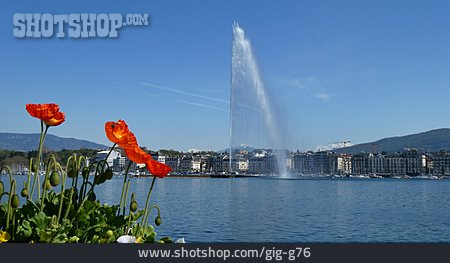 
                Fontaine, Genfersee, Genf                   