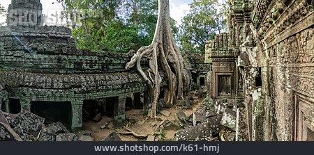 
                Tempelanlage, Kambodscha, Ta Prohm                   