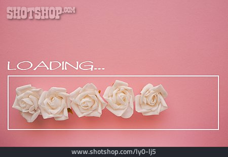 
                Rose, Hochzeit, Loading                   