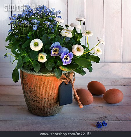 
                Frühling, Eier, Blumentopf                   