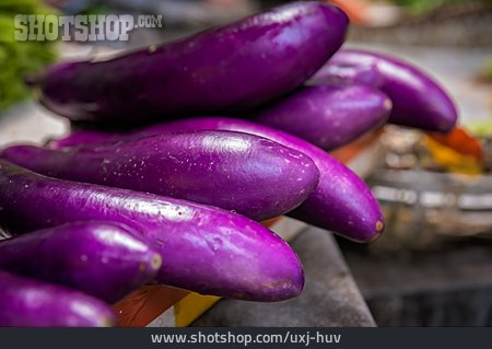 
                Aubergine                   