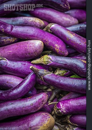 
                Aubergine                   