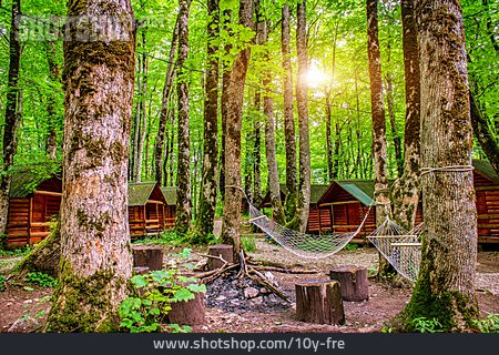 
                Wald, Holzhütte, Feriensiedlung                   