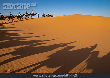 
                Wüste, Karawane, Wüstentour                   