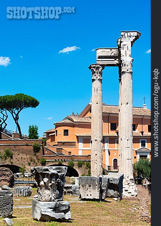 
                Rom, Forum Romanum                   