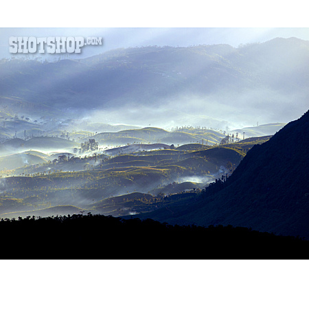 
                Nebel, Gebirgslandschaft, Adam’s Peak                   
