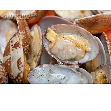 
                Muscheln, Meeresfrüchte                   