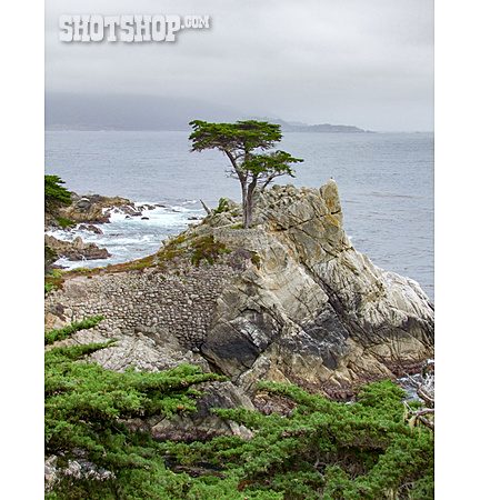 
                Monterey Bay                   