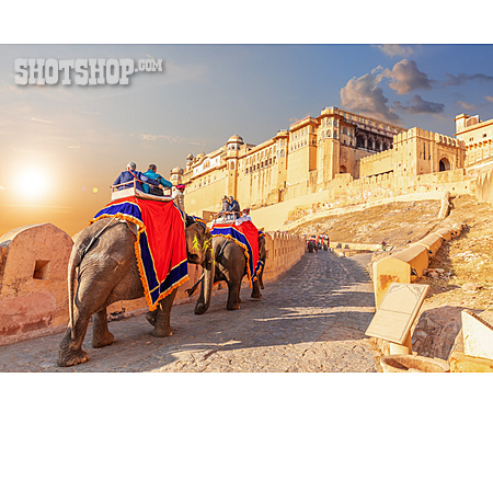
                Jaipur, Amber Fort, Elefantenritt                   