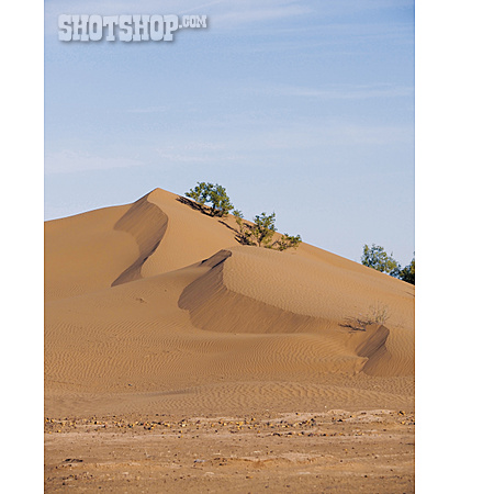 
                Wüste, Sahara, Sanddüne                   