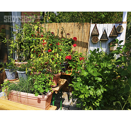 
                Garten, Balkon, Topfpflanzen, Terrasse, Blumentöpfe                   