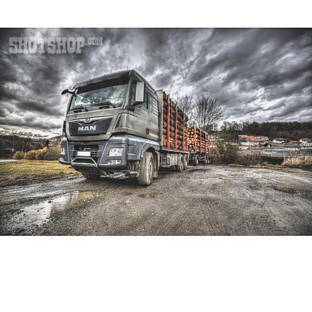 
                Holzwirtschaft, Lastwagen, Nutzfahrzeug, Man Truck & Bus                   