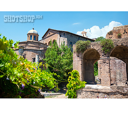 
                Archäologie, Antike, Forum Romanum                   