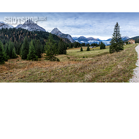 
                Tirol, Ehrwalder Alm                   
