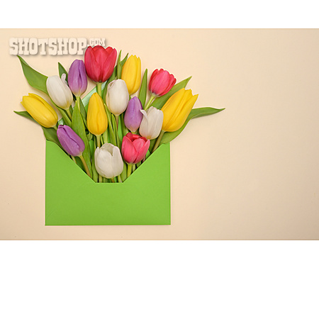 
                Tulpenstrauß, Muttertag, Blumengrüße                   