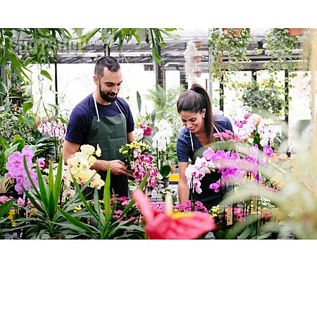 
                Orchideen, Kollegen, Gartencenter                   