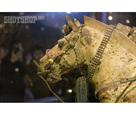 
                Pferd, Mausoleum Qin Shihuangdis, Hohe Wagen                   