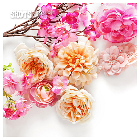 
                Rose, Stoffblume, Pastell, Floral                   