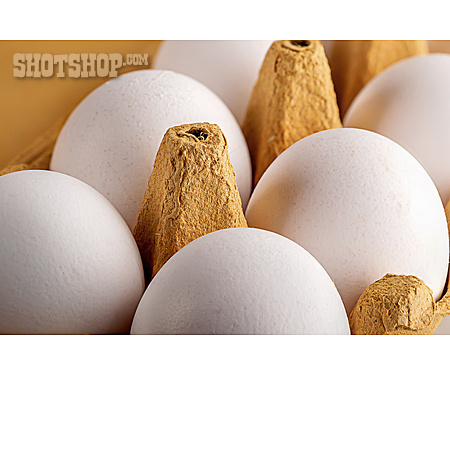 
                Chicken Egg                   