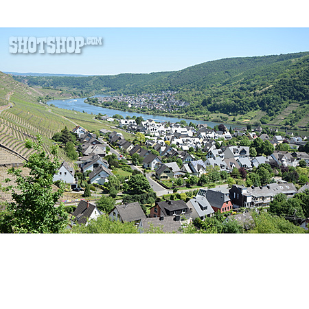 
                Rhineland-palatinate, Moselle Valley, Winningen                   