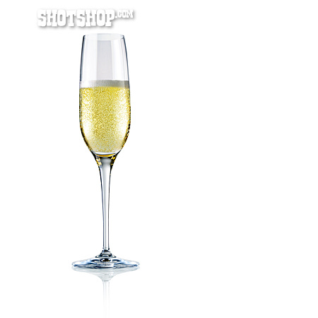 
                Champagner, Champagnerglas                   