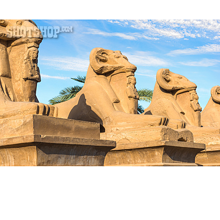 
                Archäologie, Sphinx, Karnak-tempel                   