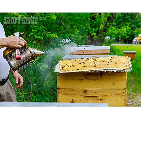 
                Bienenstock, Imkerei, Honigproduktion, Smoker                   