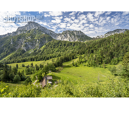 
                Steiner Alm, Staufen, Chiemgauer Alpen                   