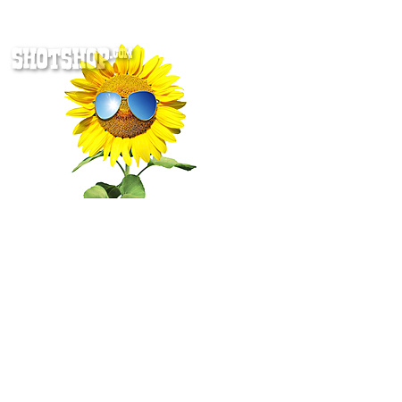 
                Sonnenblume, Sonnenbrille, Sonnig                   