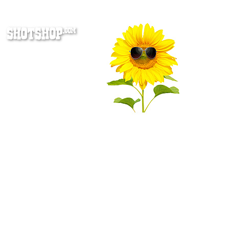 
                Sonnenblume, Sonnenbrille                   