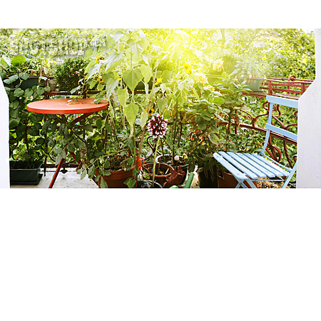 
                Sonnenlicht, Balkon, Topfpflanzen, Gartenmöbel                   
