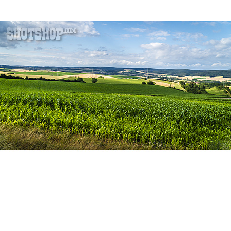 
                Landwirtschaft, Felder, Kulturlandschaft                   