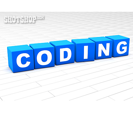 
                Coding                   