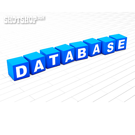
                Database                   