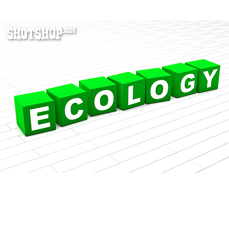 
                Ecology                   