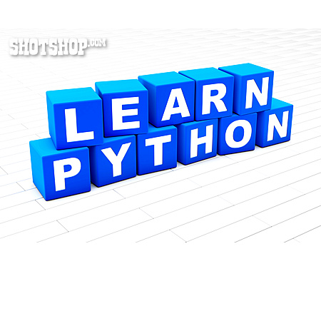 
                Learn Python                   
