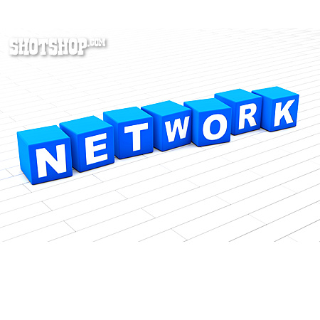 
                Network                   